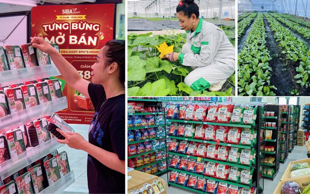 SIBA.MART và tham vọng tái định hình chuẩn mực chuỗi bán lẻ thực phẩm sạch tại Việt Nam- Ảnh 2.