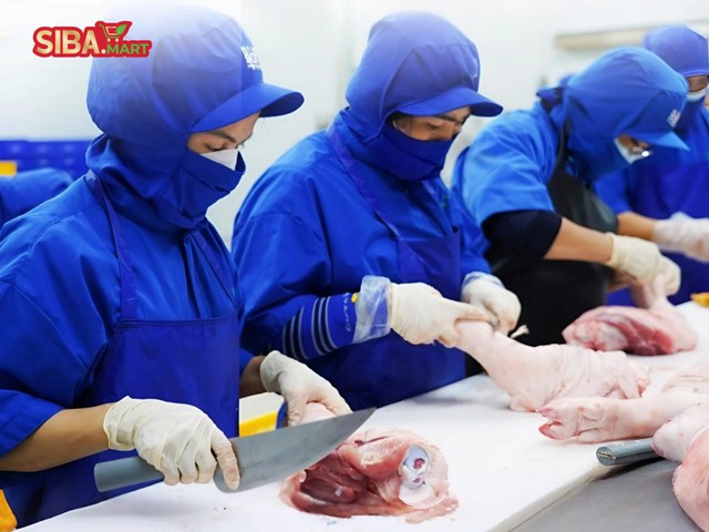 SIBA.MART và tham vọng tái định hình chuẩn mực chuỗi bán lẻ thực phẩm sạch tại Việt Nam- Ảnh 3.