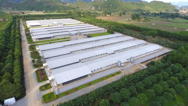 C.P. Việt Nam nâng cao AI trong quản trị chuỗi nông nghiệp - thực phẩm - Ảnh 3.