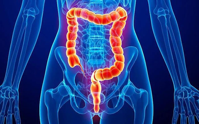 Giải mã sức hút xu hướng thanh lọc từ gốc của giới tinh hoa- Ảnh 1.