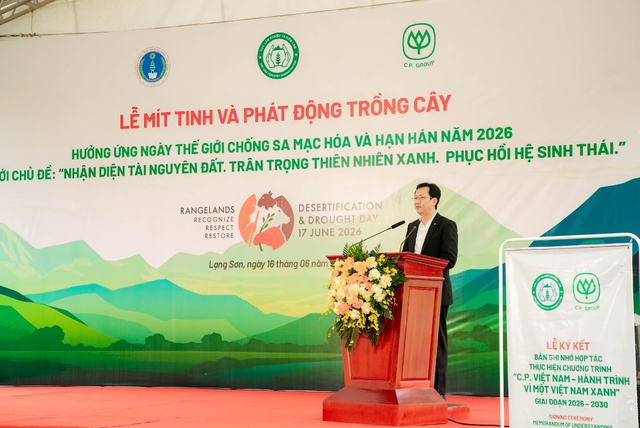 Từ 1,5 triệu cây xanh đến bài toán hợp tác công - tư trong trồng cây, phục hồi rừng - Ảnh 3.