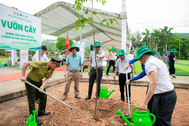 Từ 1,5 triệu cây xanh đến bài toán hợp tác công - tư trong trồng cây, phục hồi rừng - Ảnh 4.