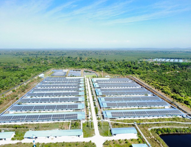 Lộ trình 3 triệu cây xanh trong mục tiêu Net Zero của C.P. Việt Nam- Ảnh 4.