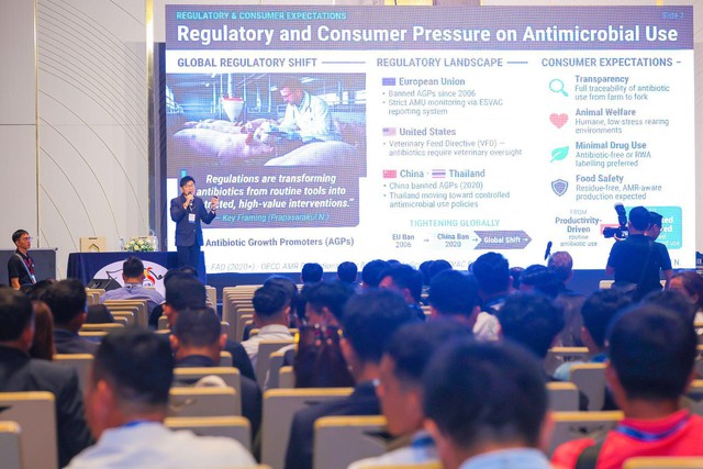 C.P. Việt Nam gợi mở hướng giảm phụ thuộc kháng sinh trong chăn nuôi heo - Ảnh 1.