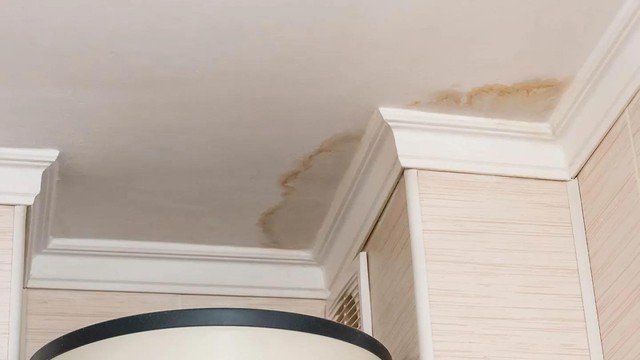 Giải pháp chống ẩm mốc, nứt trần hiệu quả trong khí hậu nhiệt đới Việt Nam - Ảnh 1.