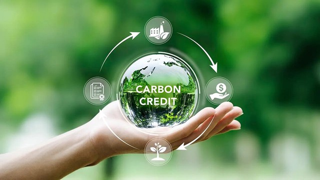 DNSE sẵn sàng vận hành cùng thị trường carbon từ phiên giao dịch đầu tiên - Ảnh 1.