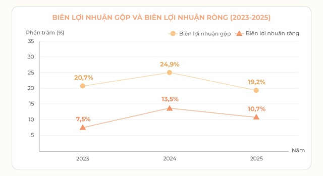 AMY GRUPO: Nền tảng tài chính vững vàng cho hành trình tăng trưởng mới- Ảnh 2.