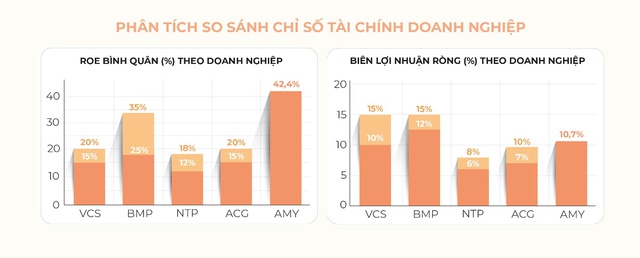 AMY GRUPO: Nền tảng tài chính vững vàng cho hành trình tăng trưởng mới- Ảnh 3.