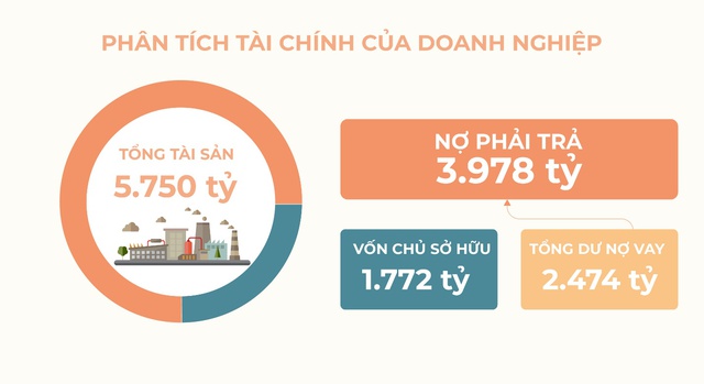 AMY GRUPO: Nền tảng tài chính vững vàng cho hành trình tăng trưởng mới- Ảnh 4.
