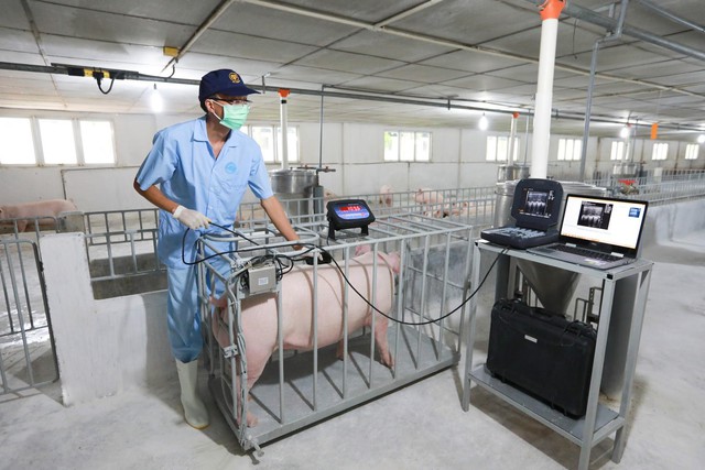 C.P. Việt Nam đưa đổi mới sáng tạo vào vận hành chuỗi nông nghiệp - thực phẩm - Ảnh 4.