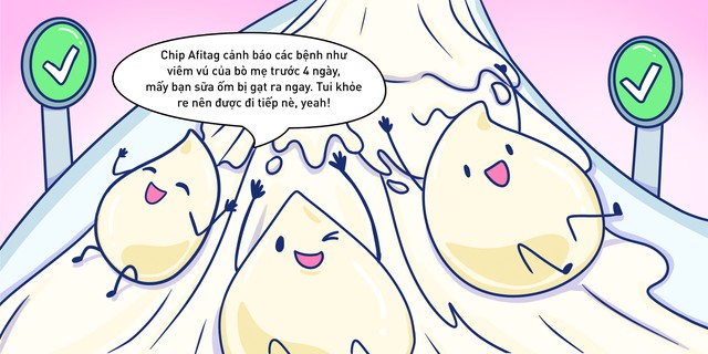Kh&aacute;m ph&aacute; h&agrave;nh tr&igrave;nh kh&ocirc;ng hở một gi&acirc;y của giọt sữa tươi sạch TH true MILK - Ảnh 2.