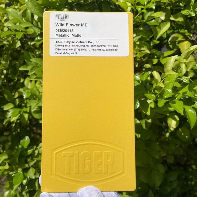 TIGER Coatings - Chuyên gia giải pháp màu sắc và bề mặt đòi hỏi kỹ thuật cao- Ảnh 1.