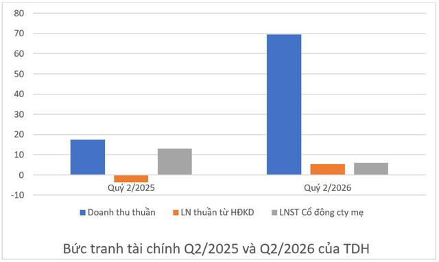 Báo lãi mảng cốt lõi, Nhà Thủ Đức (TDH) bứt phá doanh thu quý 2- Ảnh 1.