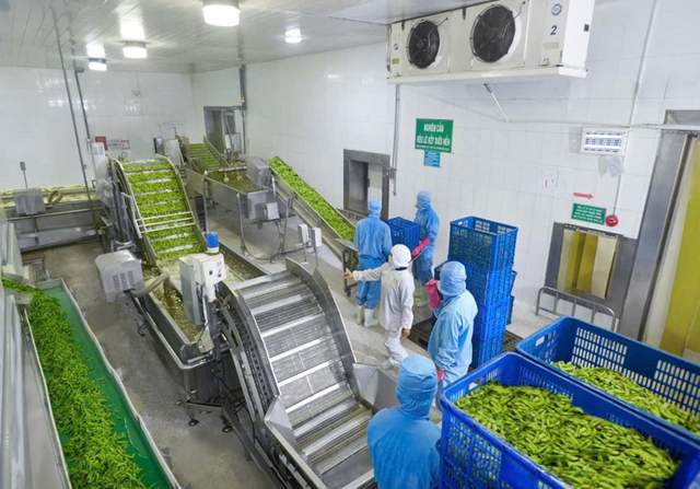 Antesco bứt tốc 6 tháng, cam kết cán mốc sản xuất 100.000 tấn/năm.- Ảnh 3.