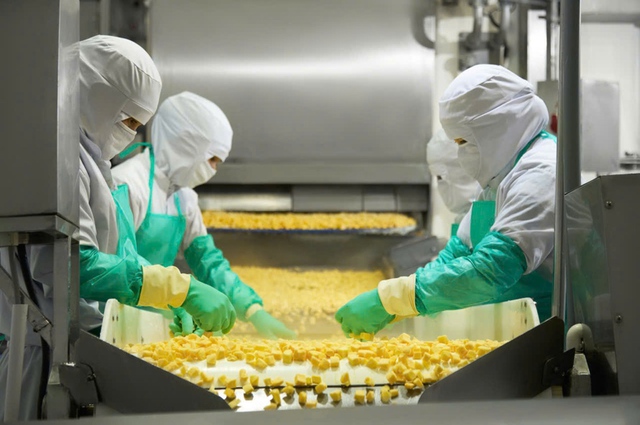 Antesco bứt tốc 6 tháng, cam kết cán mốc sản xuất 100.000 tấn/năm.- Ảnh 4.