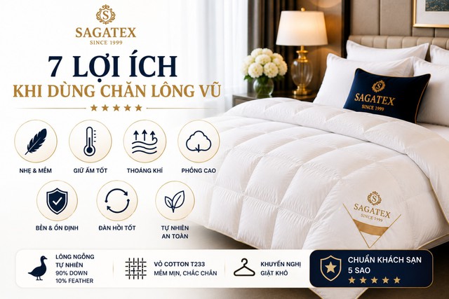 Vì sao chăn lông vũ ngày càng được khách sạn cao cấp và gia đinh ưa chuông?- Ảnh 2.