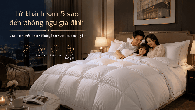 Vì sao chăn lông vũ ngày càng được khách sạn cao cấp và gia đinh ưa chuông?- Ảnh 3.