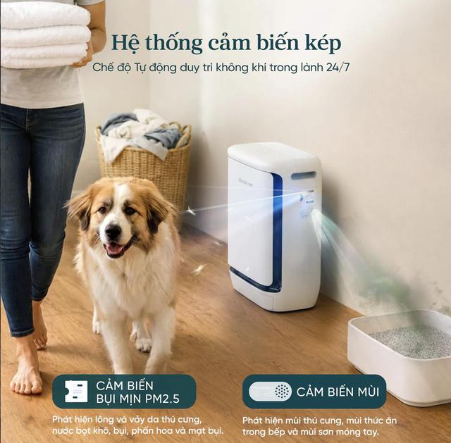 Bài toán định vị “ngách” thành công của máy lọc không khí thú cưng Levoit Vital Pet Pro - Ảnh 2.