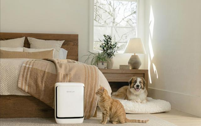 Bài toán định vị “ngách” thành công của máy lọc không khí thú cưng Levoit Vital Pet Pro - Ảnh 3.