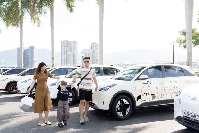 ‏Mãn nhãn dàn Geely EX2 khoe cá tính cùng bộ sưu tập decal độc đáo tại Roadshow Đà Nẵng ‏ - Ảnh 3.