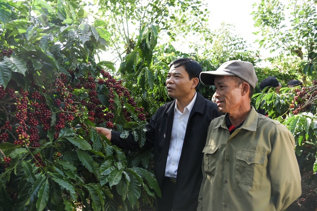 Nestlé và câu chuyện 7 năm đồng hành giữ vững cam kết cùng “hạt cà phê” Việt Nam - Ảnh 1.