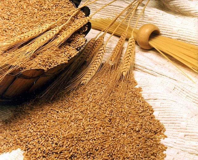 Thức uống lên men tự nhiên từ mầm lúa mạch: Bước tiến mới của TH trên con đường làm “đồ uống vì sức khỏe” - Ảnh 1.