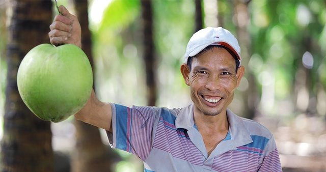Betrimex triển khai dự án “10.000 ha vườn dừa organic cho nông dân” - Ảnh 1.