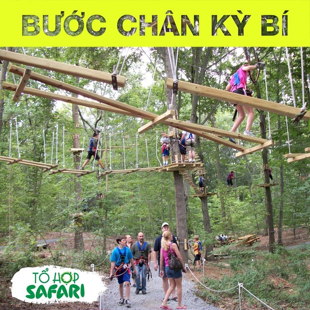 Tổ hợp safari khai trương - Giới trẻ Hà thành lại có thêm điểm đến mới để check-in - Ảnh 4.