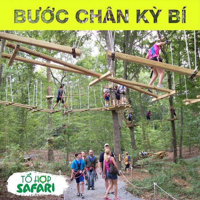 Tổ hợp safari khai trương - Giới trẻ Hà thành lại có thêm điểm đến mới để check-in - Ảnh 4.