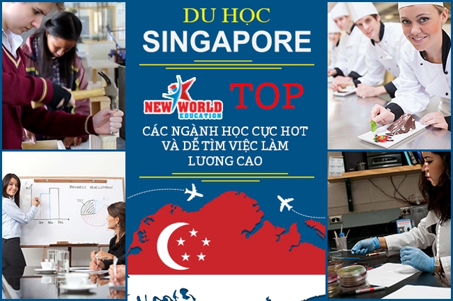 Top các ngành học dễ tìm việc và lương cao tại Singapore năm 2017 - Ảnh 3.