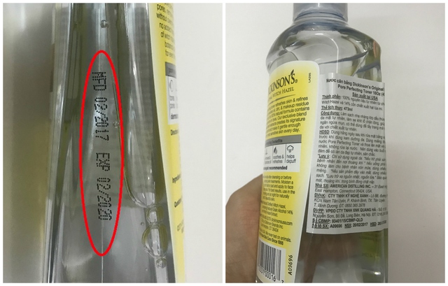 Tất tần tật về Dickinsons bạn cần phải biết - Ảnh 9.
