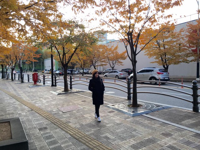 Hàn Quốc – Thiên đường xanh mướt hạ về, đỏ lá thu sang - Ảnh 4.