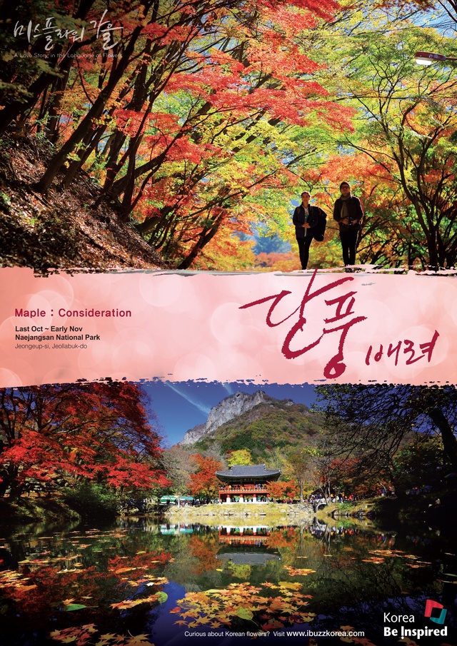 Hàn Quốc – Thiên đường xanh mướt hạ về, đỏ lá thu sang - Ảnh 7.