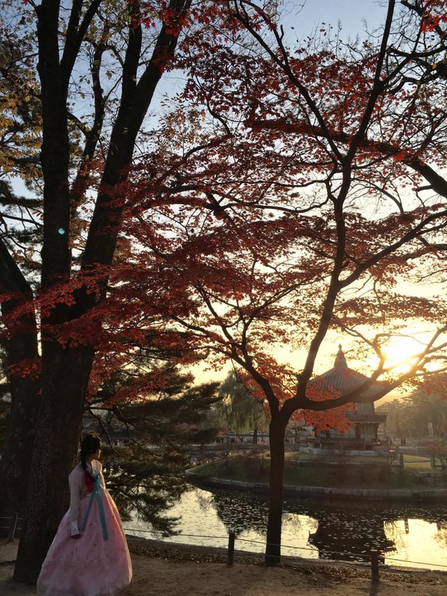 Hàn Quốc – Thiên đường xanh mướt hạ về, đỏ lá thu sang - Ảnh 15.