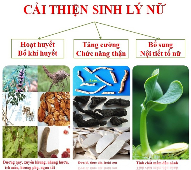 Bổ sung nội tiết tố nữ liệu c&oacute; đủ để &ldquo;hồi sinh&rdquo; ham muốn? - Ảnh 4.