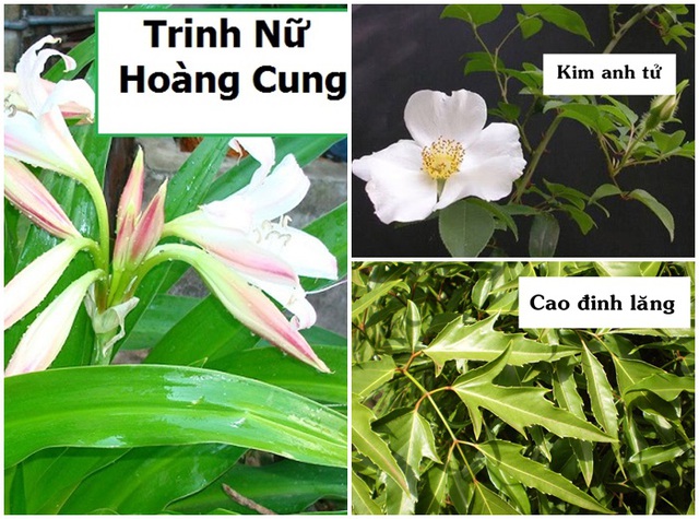 Tiểu đ&ecirc;m v&agrave; một số lưu &yacute; để điều trị dứt bệnh - Ảnh 4.