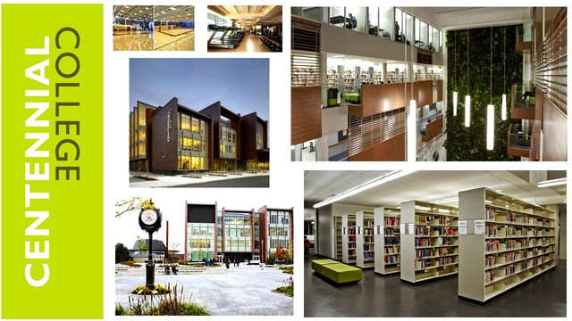 Cao đẳng Centenial - Ngôi trường đáng chọn ở Toronto trong chương trình CES Canada - Ảnh 3.