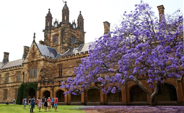 Gặp đại diện Đại học Sydney - Top 50 trường tốt nhất thế giới - Ảnh 1.