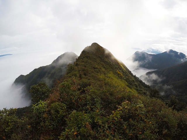 Lướt 4G trên đỉnh Tà Xùa – Trải nghiệm bất ngờ của dân trekking - Ảnh 1.
