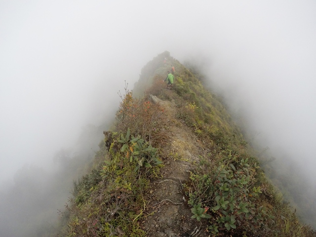 Lướt 4G trên đỉnh Tà Xùa – Trải nghiệm bất ngờ của dân trekking - Ảnh 2.