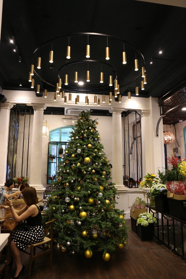 Dễ dàng sở hữu cây thông thật 100% trang trí mùa Noel ở Sài Gòn - Ảnh 1.