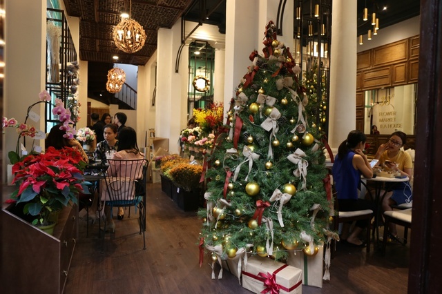 Dễ dàng sở hữu cây thông thật 100% trang trí mùa Noel ở Sài Gòn - Ảnh 3.