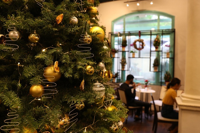 Dễ dàng sở hữu cây thông thật 100% trang trí mùa Noel ở Sài Gòn - Ảnh 7.