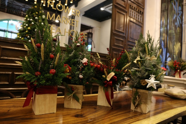 Dễ dàng sở hữu cây thông thật 100% trang trí mùa Noel ở Sài Gòn - Ảnh 12.