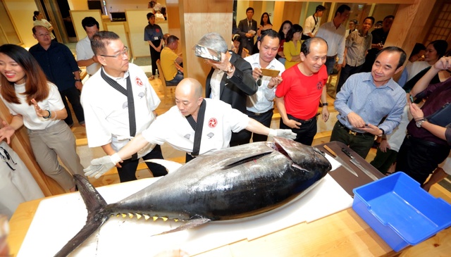 Nhà hàng Saiko Sushi - Hoành tráng lễ mổ cá ngừ vây xanh 100 kg trước thềm 2018 - Ảnh 1.