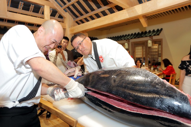 Nhà hàng Saiko Sushi - Hoành tráng lễ mổ cá ngừ vây xanh 100 kg trước thềm 2018 - Ảnh 3.