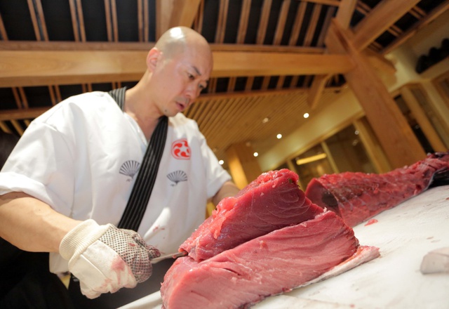 Nhà hàng Saiko Sushi - Hoành tráng lễ mổ cá ngừ vây xanh 100 kg trước thềm 2018 - Ảnh 4.