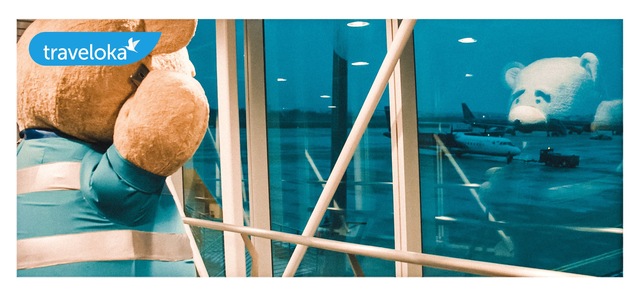 Gia đình gấu mập cực dễ thương làm náo loạn sân bay quốc tế Đà Nẵng - Ảnh 3.