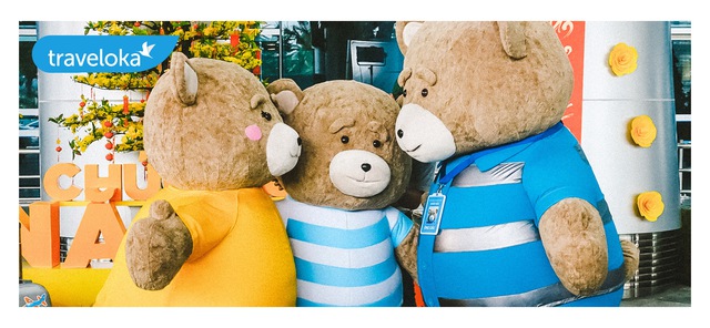 Gia đình gấu mập cực dễ thương làm náo loạn sân bay quốc tế Đà Nẵng - Ảnh 6.