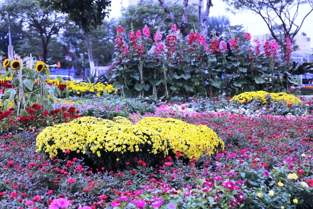 Người Đà Nẵng thích thú với đường hoa xuân tuyệt đẹp - Ảnh 8.